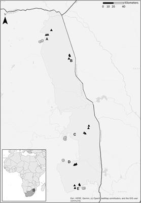 How Does eDNA Compare to Traditional Trapping? Detecting Mosquito Communities in South-African Freshwater Ponds